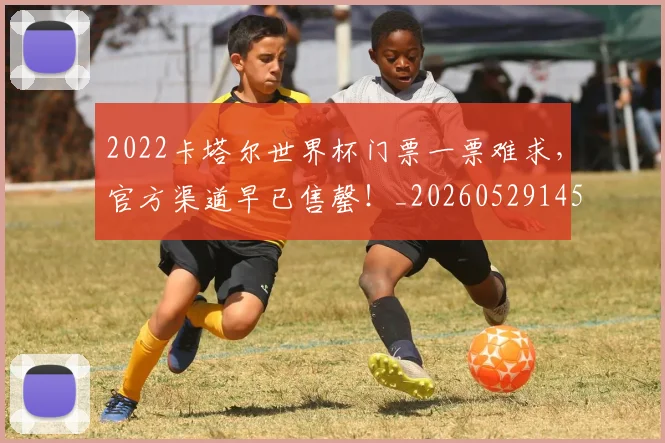 2022卡塔尔世界杯门票一票难求,官方渠道早已售罄!_20260529145326