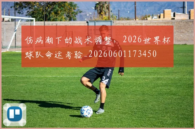 伤病潮下的战术调整，2026世界杯球队命运考验_20260601173450