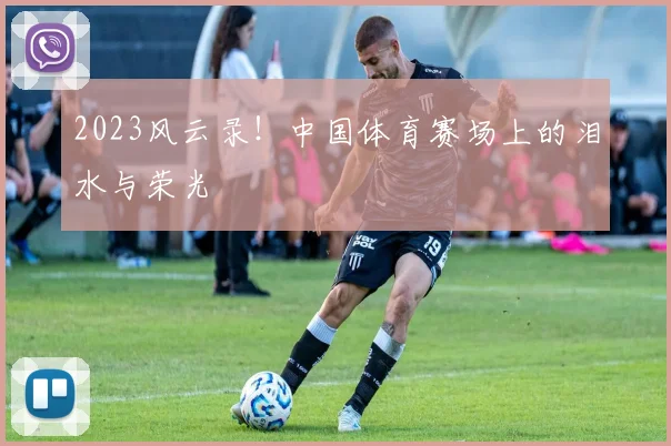 2023风云录！中国体育赛场上的泪水与荣光